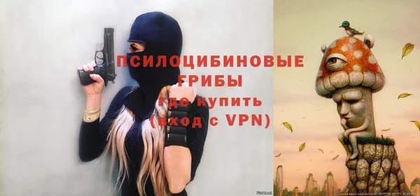 крисы Горняк
