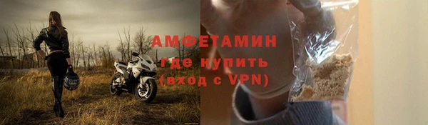 крисы Горняк