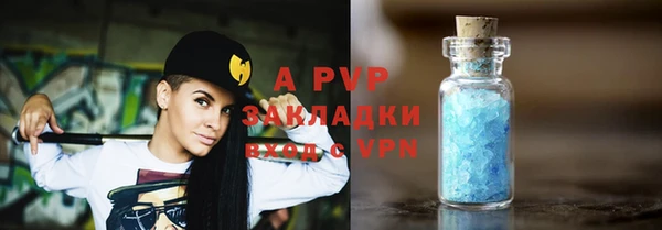 крисы Горняк