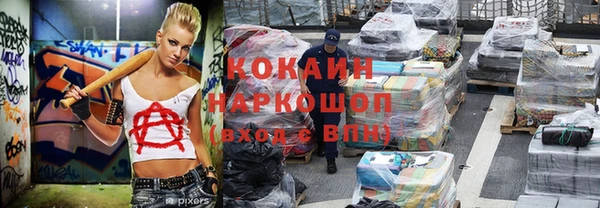 крисы Горняк
