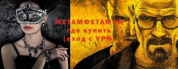 крисы Горняк