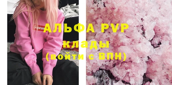 крисы Горняк