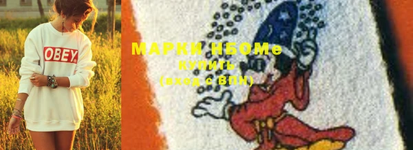 крисы Горняк