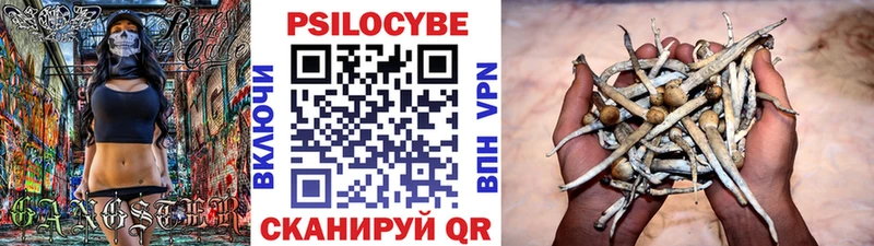 как найти закладки  Еманжелинск  Галлюциногенные грибы Psilocybe 